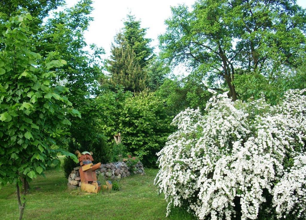 Ferienwohnung Marienkaefer Wulkow  外观 照片